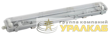 Светильник SPP-101-0-002-120 IP65 под 2 светодиод. лампы T8 G13 LED 2x1200мм Эра Б0043658