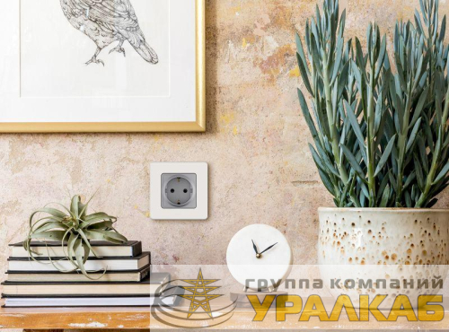 Розетка 1-м СП Inspiria 16А IP20 250В 2P+E немецк. стандарт механизм алюм. Leg 673722 детальная картинка