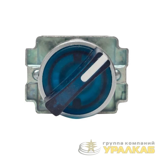 Переключатель BD21 2P с син. подсветкой 230В NO PROxima EKF xb2-bk21-b-230 детальная картинка Переключатель BD21 2P с син. подсветкой 230В NO PROxima EKF xb2-bk21-b-230 детальная картинка