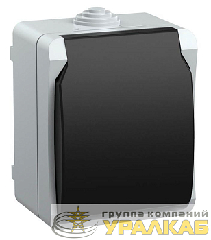 Розетка 1-м ОП Форс РСб20-3-ФСр 16А IP54 с заземл. с крышкой сер. IEK ERS12-K03-16-54-DC