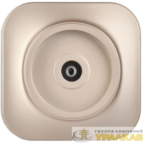 Розетка телевизионная TV 1-м ОП GLORY РТВ20-ХШм шампань матов. IEK EAH10-K37M детальная картинка