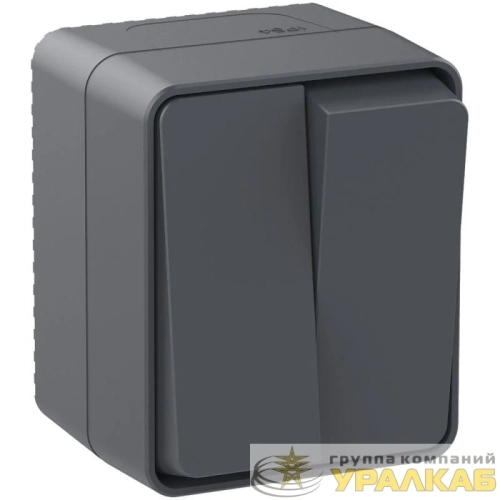 Выключатель 2-кл. ОП AtlasDesign Profi54 IP54 10AX антрацит SE ATN544051 детальная картинка