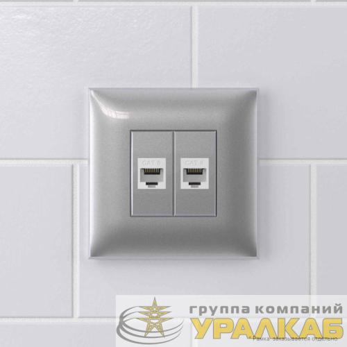 Розетка компьютерная 2-м СП Avanti "Закаленная сталь" RJ45 кат.6 без шторок механизм DKC 