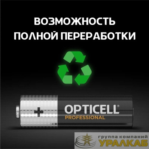 Элемент питания алкалиновый AA/LR6 (блист. 4шт) Professional Opticell /6052001