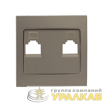 Панель лицевая Валенсия для розетки 2-м RJ-45 кашемир PROxima EKF ESK02-L-035-40