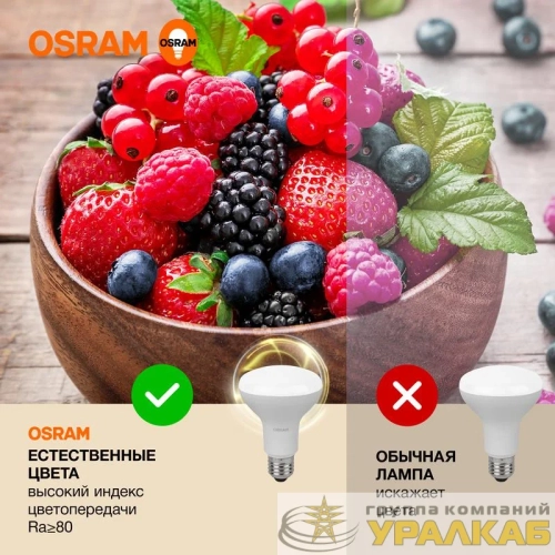 Лампа светодиодная LED Value LV R80 90 11SW/830 11Вт рефлектор матовая E27 230В 10х1 RU OSRAM 4058075582699 детальная картинка