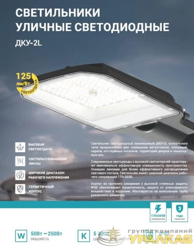 Светильник уличный линзованный светодиодный ДКУ-2L 120Вт 230В 5000К 15000лм 125лм/Вт 48-70мм IP65 NEOX 