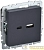 Розетка BRITE USB A+C 18Вт РЮ11-1-БрГ механизм графит IEK BR-U22-018-K53