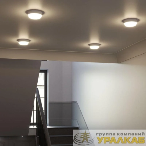 Светильник светодиодный Elementary 8Вт 4000К IP65 800лм d140х48мм ДБП круг настен./потолочн. GAUSS 