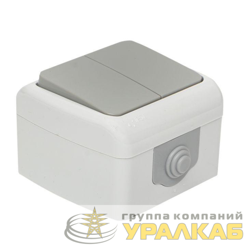Выключатель 2-кл. ОП Мурманск 10А IP54 сер. EKF EFV10-023-30-54 детальная картинка