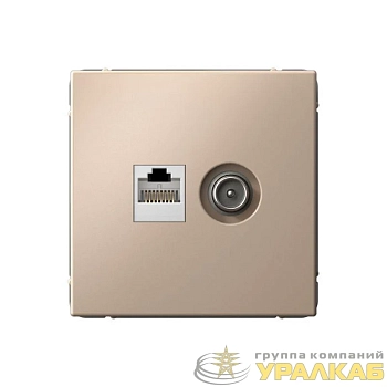 Розетка компьютерная + телевизионная 2-м ArtGallery RJ45 + TV кат.5E песочн. SE 