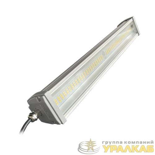 Светильник светодиодный ISK50-31-C-01 NLCO 230534 детальная картинка