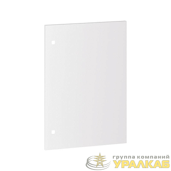 Дверь корпуса ST 800х600мм DKC 