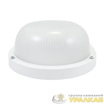 Светильник НПП 03-100-003 Техас IP65 промышленный накладной матов. рассеив. Владасвет 