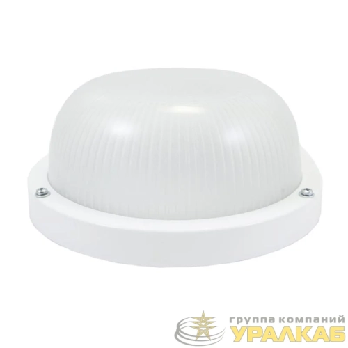 Светильник НПП 03-100-003 Техас IP65 промышленный накладной матов. рассеив. Владасвет 