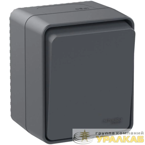 Переключатель проходной 1-кл. ОП AtlasDesign PROFI IP54 10AX антрацит SE 