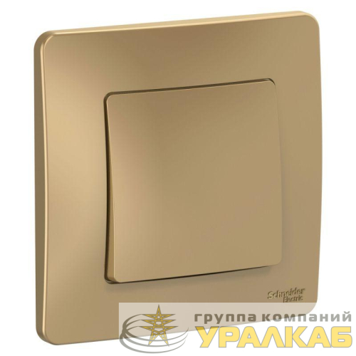 Переключатель проходной 1-кл. СП Blanca 10А IP20 (сх. 6) 250В титан SE BLNVS010604 детальная картинка