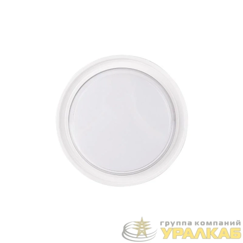 Светильник светодиодный PBH-PC9-RA 24Вт 4000К IP65 WHITE ДБП ЖКХ JazzWay 5065970 детальная картинка Светильник светодиодный PBH-PC9-RA 24Вт 4000К IP65 WHITE ДБП ЖКХ JazzWay 5065970 детальная картинка