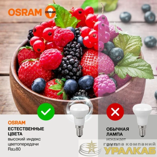 Лампа светодиодная LED Value LV R39 40 5SW/840 5Вт рефлектор матовая E14 230В 10х1 RU OSRAM 