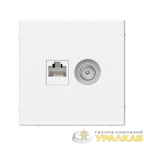 Розетка компьютерная + телевизионная 2-м СП ArtGallery RJ45 кат.5E + TV механизм бел. SE 