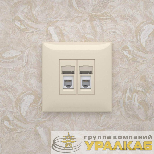 Розетка телефонная 2-м СП Avanti "Ванильная дымка" RJ12 DKC 