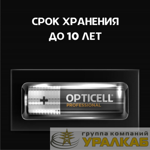 Элемент питания алкалиновый AA/LR6 (блист. 4шт) Professional Opticell 5052001 детальная картинка