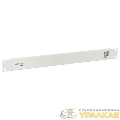 Фальшпанель TERACOM PRO 1U сер. EKF TRP-1FP-GR детальная картинка