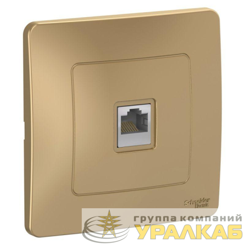 Розетка компьютерная 1-м СП Blanca RJ45 кат.5E титан SE 