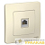 Розетка компьютерная 1-м СП Blanca RJ45 кат.5E молочн. SE 