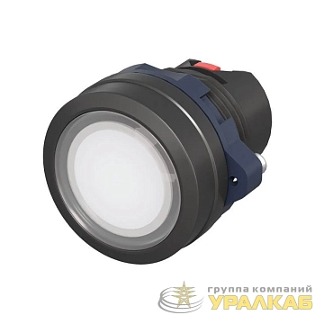 Головка кнопки плоская прозрачная без фиксации бел. DKC 