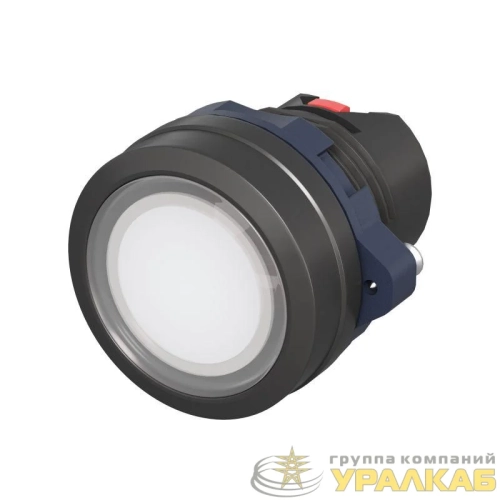 Головка кнопки плоская прозрачная без фиксации бел. DKC M22P-FMLWP детальная картинка