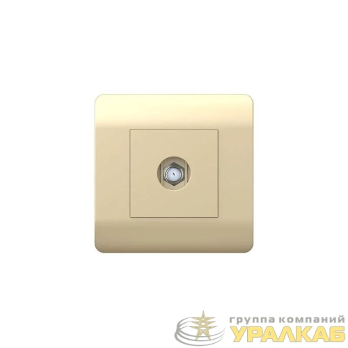 Розетка телевизионная одиночная SAT NEW3-E коннектор шампань CHINT 