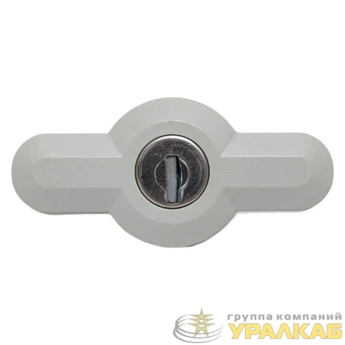 Замок с металлическим ключом для ЩМП-П IP65 PROxima EKF 