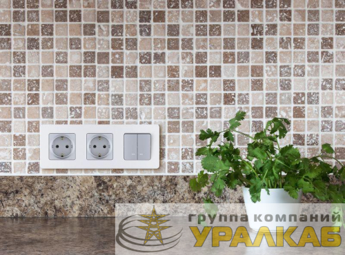 Розетка 1-м СП Inspiria 16А IP20 250В 2P+E немецк. стандарт механизм алюм. Leg 673722 детальная картинка
