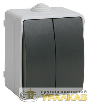 Выключатель 2-кл. ОП Форс 10А IP54 ВС20-2-0-ФСр сер. IEK EVS20-K03-10-54-DC