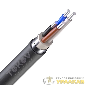 Кабель TOKOV ELECTRIC АВБШв 4х10 ОК (N) 0.66кВ (м) УТ000030770