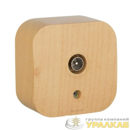 Розетка телевизионная TV 1-м ОП Quteo IP20 с топологией "звезда" дерево IEK 