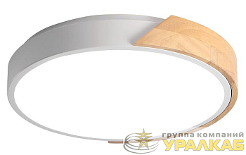 Светильник светодиодный декоративный PPB Scandic-R 24Вт 4000К IP20 настенно-потолочный бытовой GR/W JazzWay 5037052