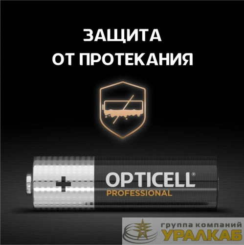 Элемент питания алкалиновый AA/LR6 (блист. 4шт) Professional Opticell /6052001