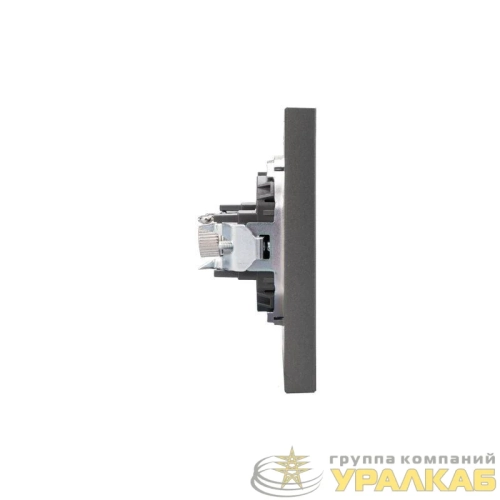 Розетка СП STRONG MIELE TV графит Kranz 