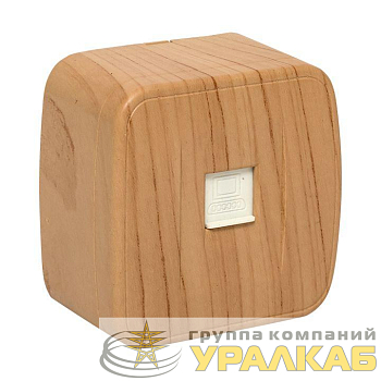 Розетка компьютерная 1-м ОП Минск RJ45 1А 120В свет. дерево EKF EGK01-035-30