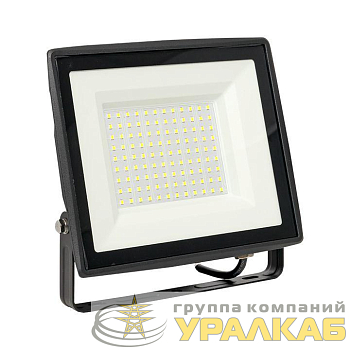 Прожектор светодиодный СДО-3006 100Вт 6500К IP65 Basic EKF FLL-3006-100-6500