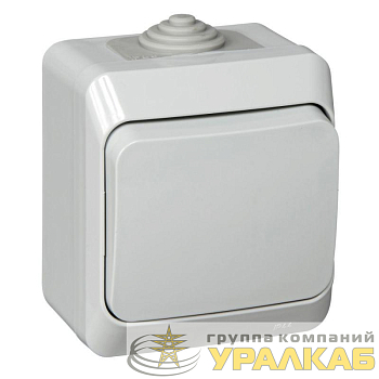 Выключатель 1-кл. ОП Этюд 10А IP44 10AX сер. SE BA10-041C