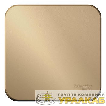 Выключатель 1-кл. ОП Blanca 10А IP20 (сх. 1) 250В с изолир. пластиной титан SE BLNVA101014