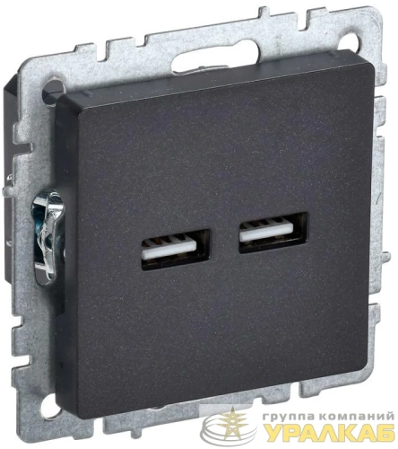 Розетка BRITE USB A+A 3.1А РЮ10-1-БрЧ механизм черн. IEK BR-U21-D31-K02 детальная картинка
