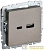 Розетка BRITE USB A+C 18Вт РЮ11-1-БрШ механизм шампань IEK BR-U22-018-K37