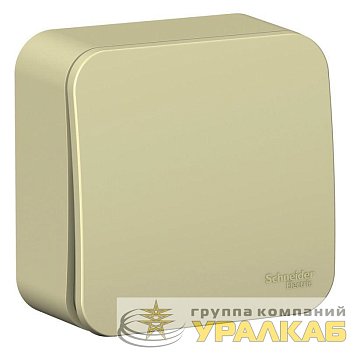 Выключатель 1-кл. ОП Blanca 10А IP20 (сх. 1) 250В с изолир. пластиной беж. SE BLNVA101017