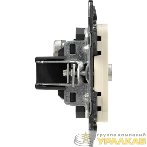 Розетка телевизионная TV 1-м Valena Allure 0-2400МГц с топологией "звезда" с лицев. панелью механизм сл. кость Leg 753851 детальная картинка