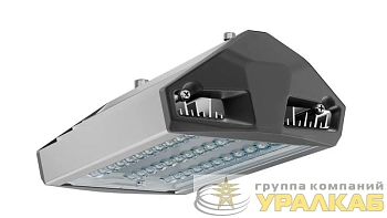 Светильник светодиодный ДКУ 50 750 ШБ ЕСАУЛ IP66/67 уличный Технологии света УТ000020649