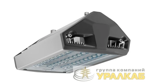 Светильник светодиодный ДКУ 50 750 ШБ ЕСАУЛ IP66/67 уличный Технологии света УТ000020649 детальная картинка
